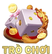 Cá cược bóng rổ tại dt88